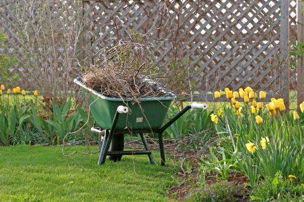 Flower Bed Cleanup Service in Macomb