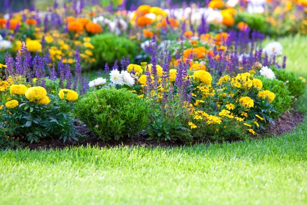 Flower Bed Maintenance in Macomb