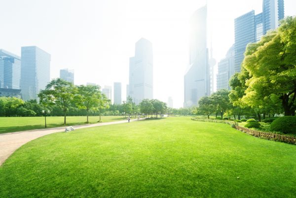 Commercial Landscape Maintenance in Macomb