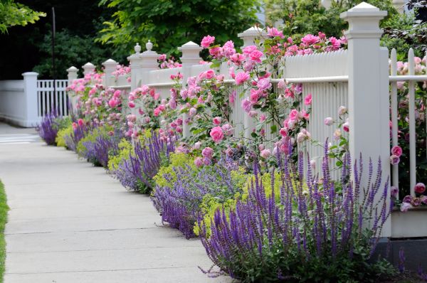 Garden Handyman Service in Macomb