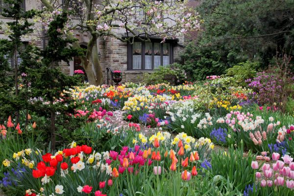 Garden Maintenance Service in Macomb