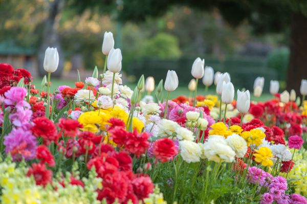 Gardening Service in Macomb