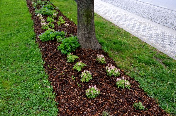 Mulch Replacement Service in Macomb