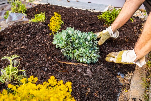 Weeding And Mulching in Macomb