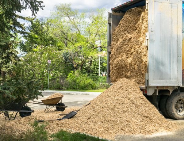 Wood Chips Delivery in Macomb