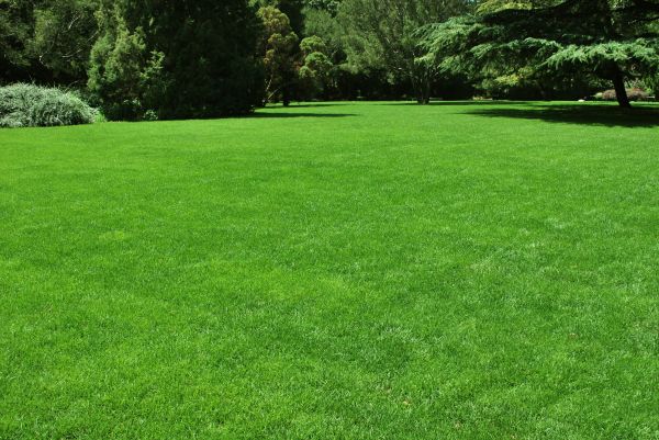 Lawn Landscaping in Macomb