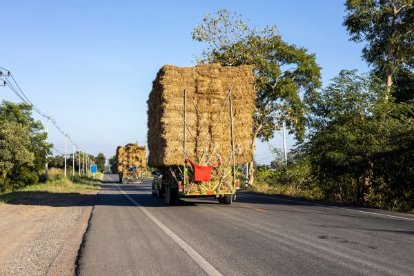 Pine Straw Delivery in Macomb