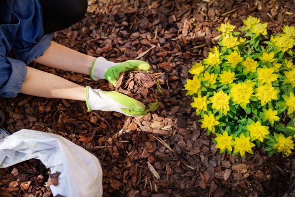 Garden Mulching in Macomb