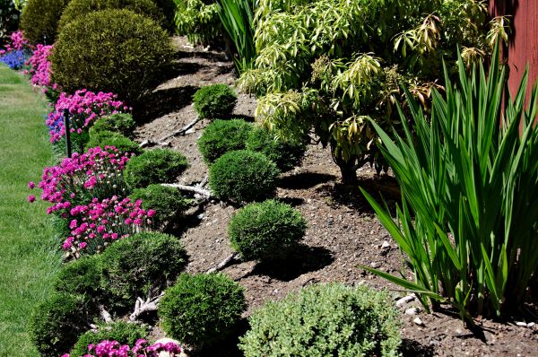 Residential Gardening in Macomb