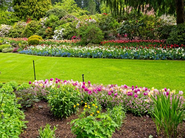 Residential Landscape Design in Macomb