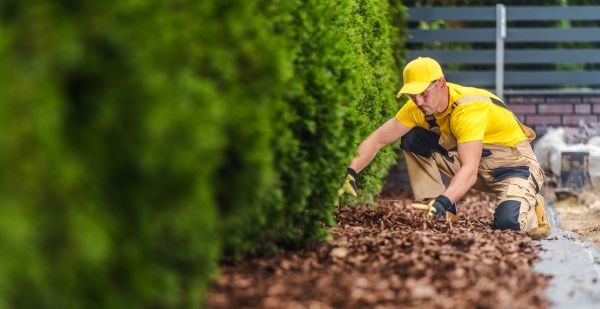 Cypress Mulch Installation in Macomb