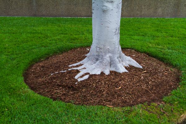 Brown Mulch Installation in Macomb