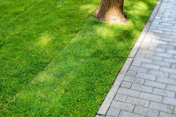 Border Stone Installation in Macomb