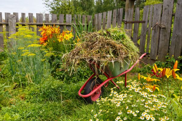 Garden Cleanup Service in Macomb