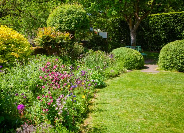 Yard Landscaping Service in Macomb