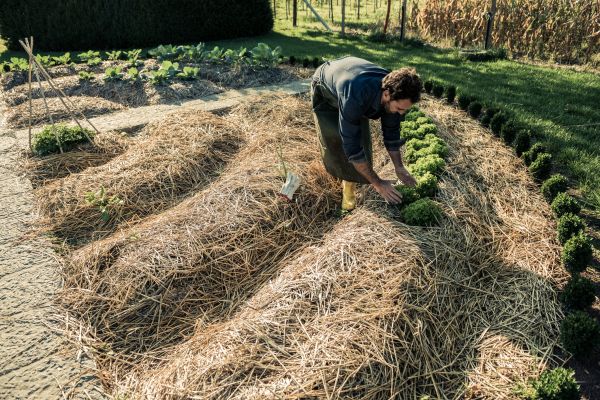 Straw Mulching Service in Macomb