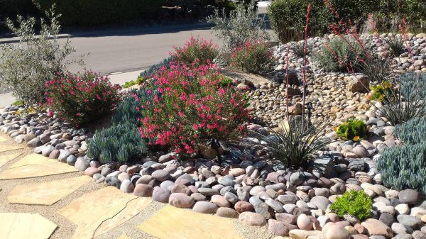 Xeriscape Landscaping in Macomb