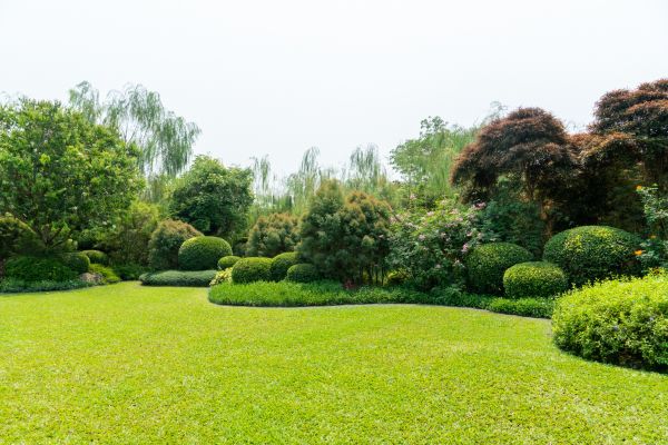 Tree Landscaping in Macomb
