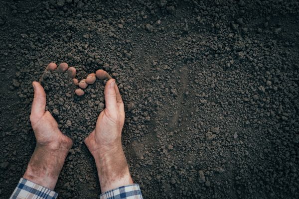Soil Installation in Macomb
