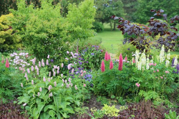 Flower Bed Planting in Macomb