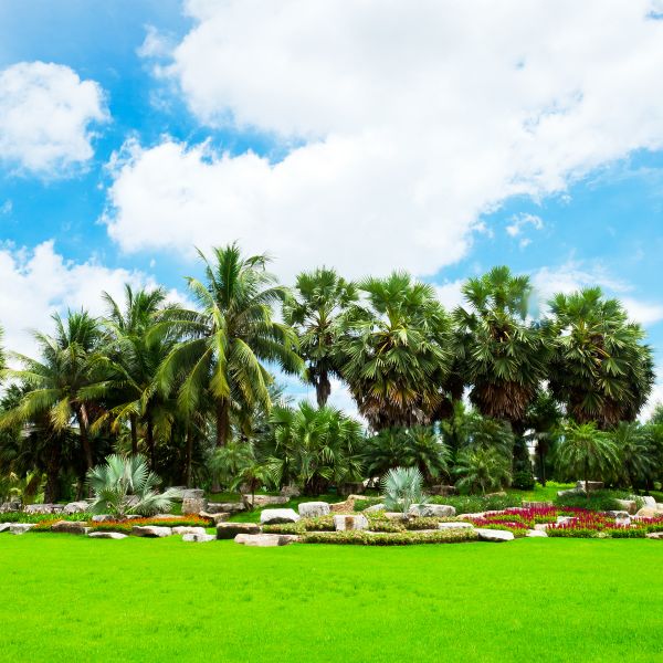 Tropical Landscaping in Macomb