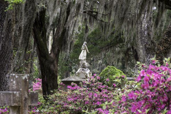Cemetery Landscaping in Macomb