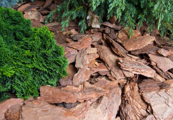 Pine Bark Installation in Macomb