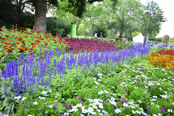 Perennials Planting in Macomb