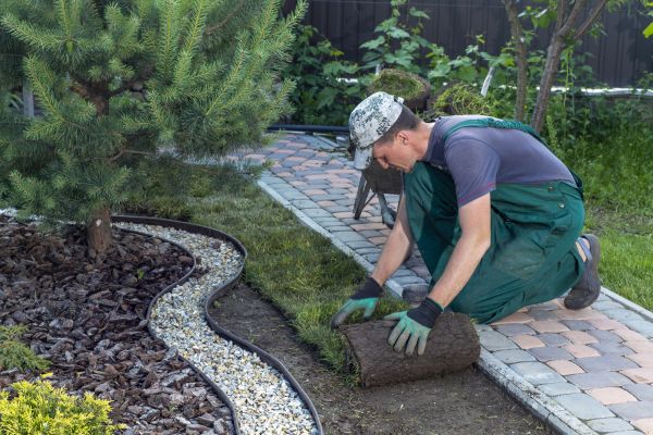 Landscaping Modification in Macomb