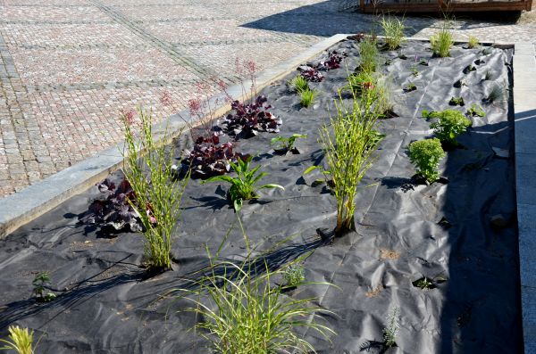 Landscape Fabric Installation in Macomb