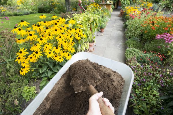 Topsoil Replacement in Macomb