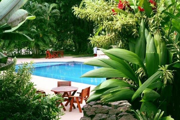 Pool Area Landscaping in Macomb