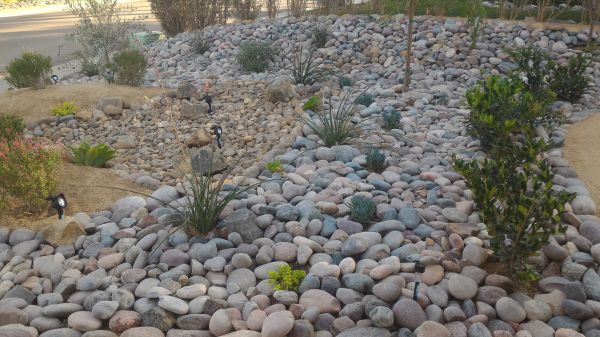 Yard Xeriscaping in Macomb