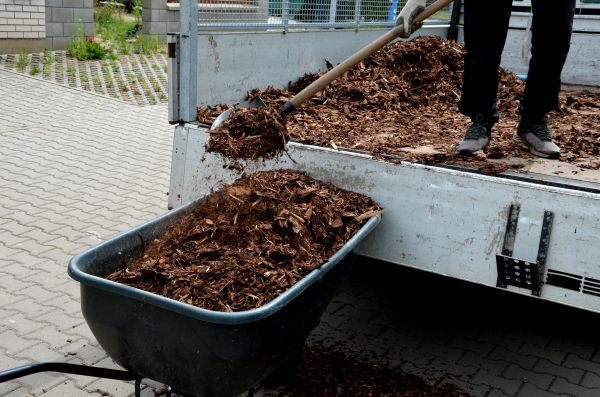 Cedar Mulch Delivery in Macomb