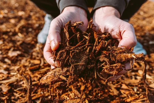 Bark Chips Delivery in Macomb