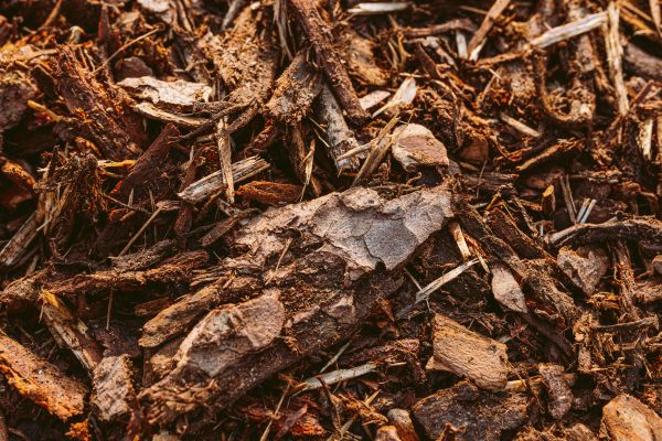 Bark Mulch Delivery in Macomb