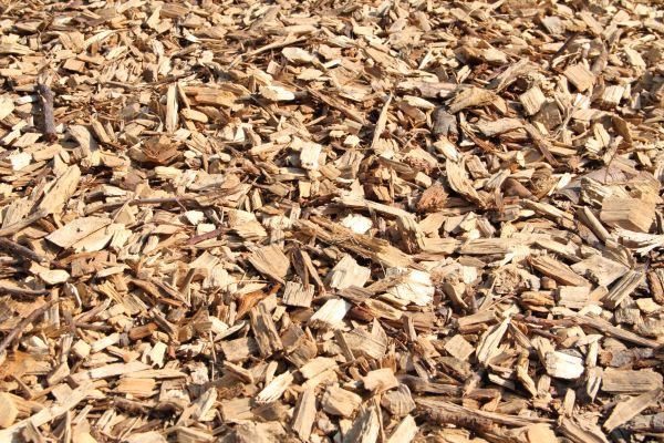 Wood Mulch Delivery in Macomb