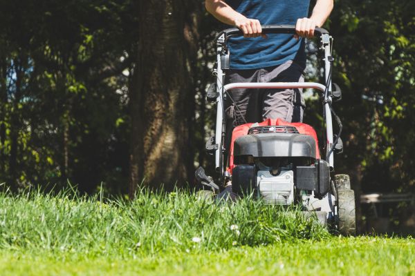 Garden Trimming Service in Macomb