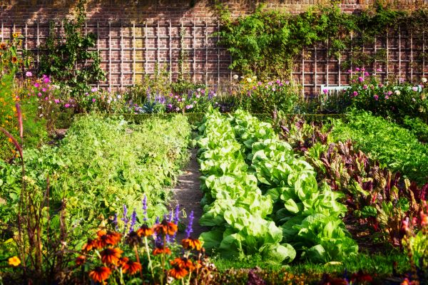 Garden Planting Service in Macomb