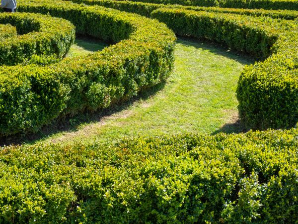 Bush Landscaping in Macomb