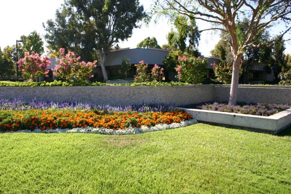 Commercial Landscape Service in Macomb