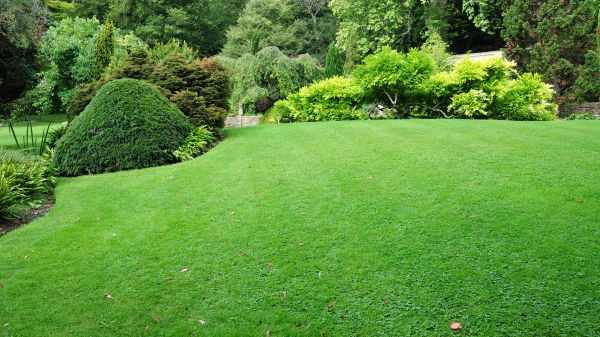 Commercial Landscape Design in Macomb