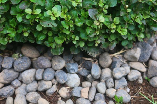 River Stone Installation in Macomb