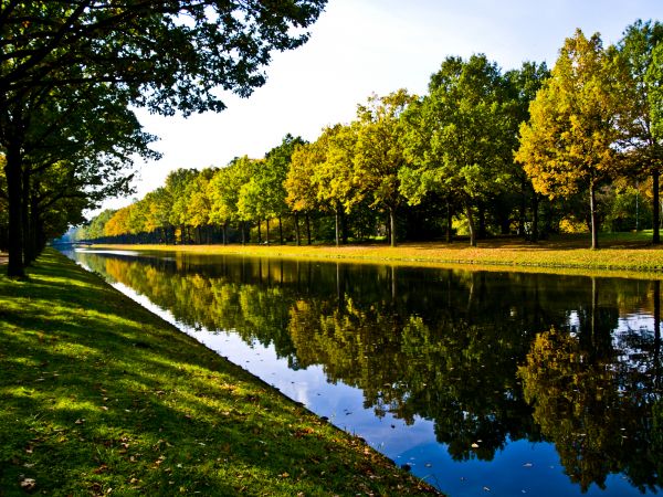 Bank Landscaping in Macomb