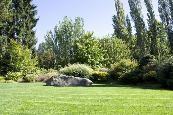 Yard Enlargement in Macomb