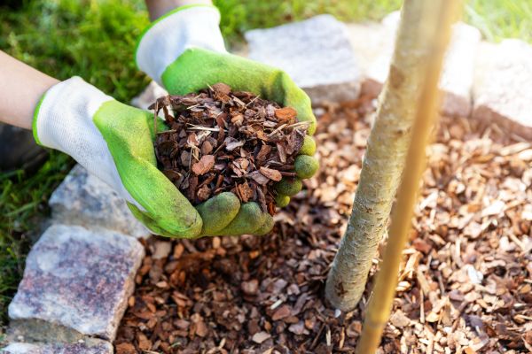 Tree Bark Delivery in Macomb