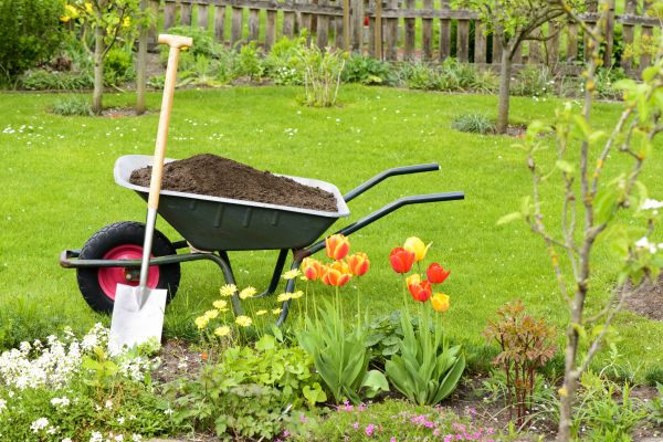 Spring Yard Renovation in Macomb