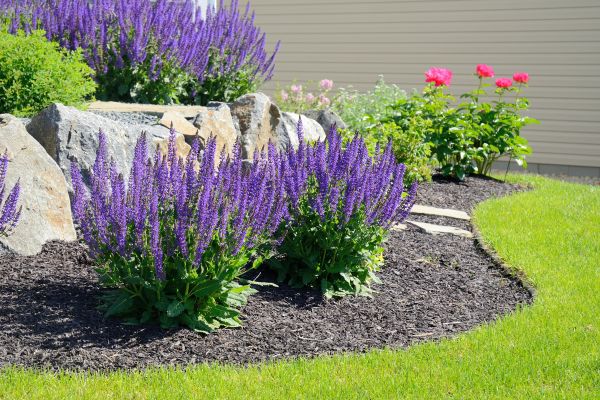 Landscape Planting Service in Macomb