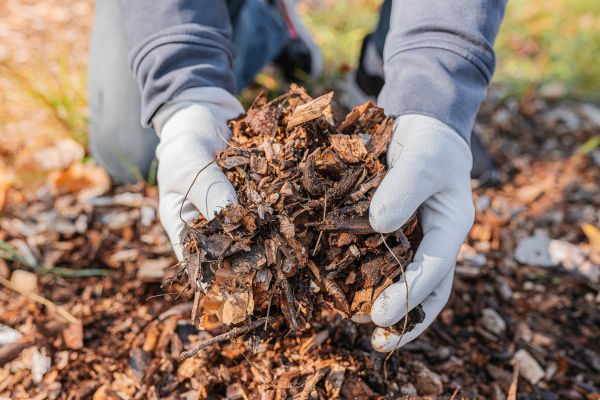 Shredded Mulch Installation in Macomb