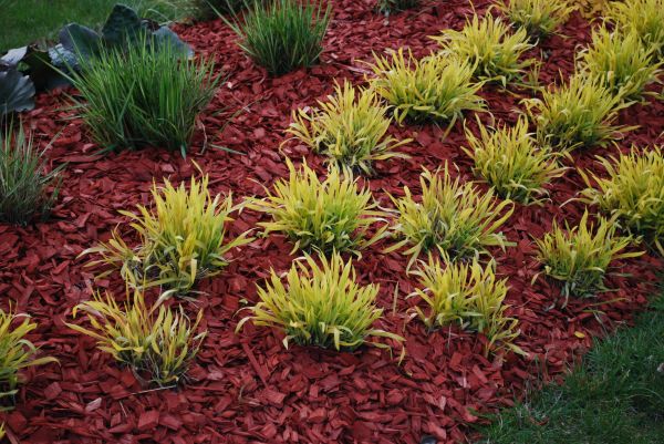 Red Mulch Installation in Macomb